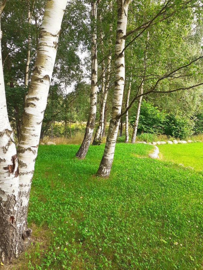 Domek Nad Czerwienia Przesieka Exteriér fotografie